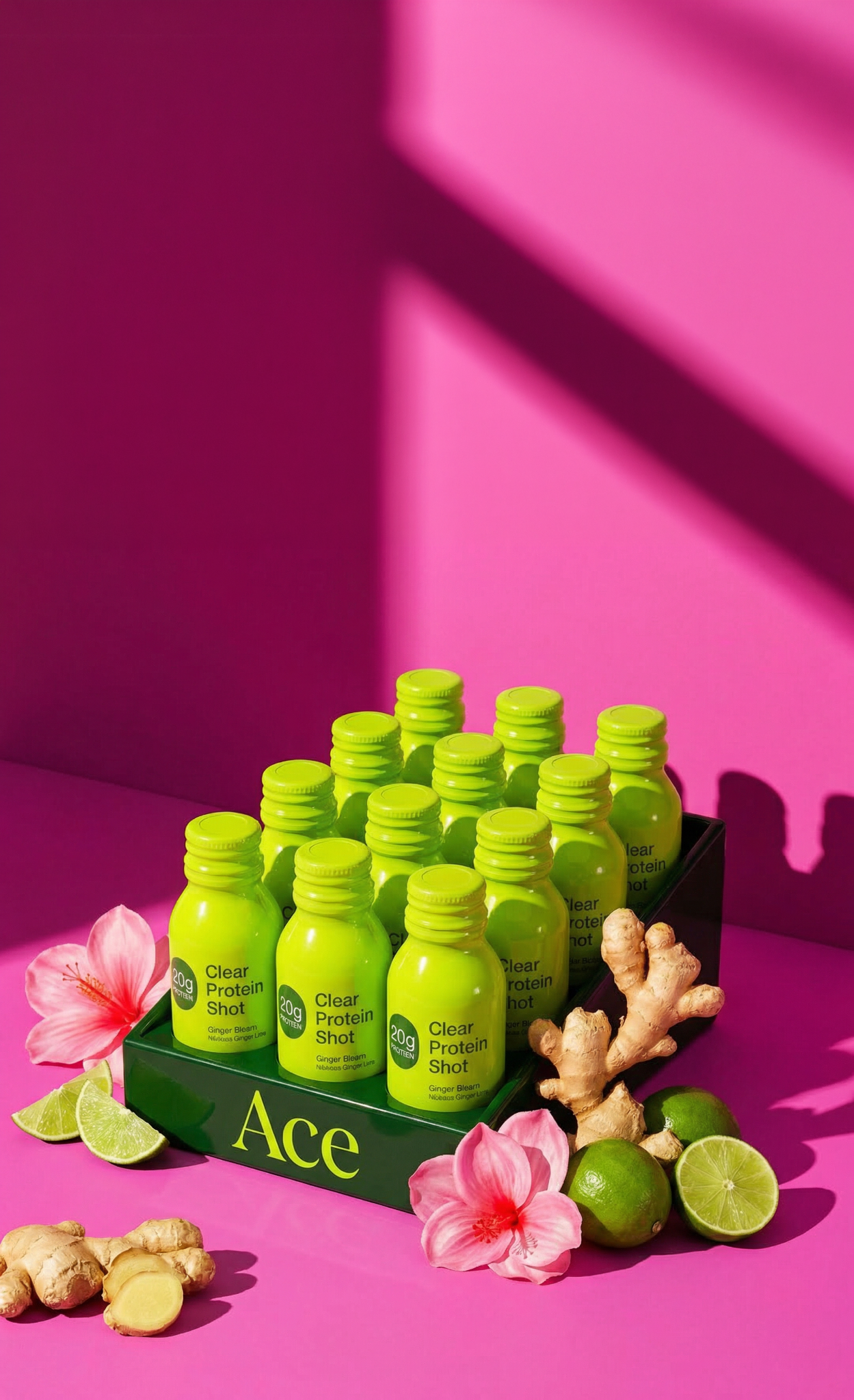 Ace Clear Protein Shot — case of 12 Ginger Bloom bottles